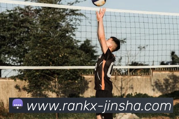 App Interface Preview